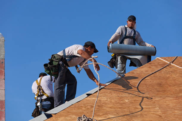 Roof Gutter Cleaning in Yutan, NE